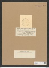 Coscinodiscus perichantinos Castrac. (de-Toni-Nr.: Genus 202, Species 5200) Zeichnungen Sammlung Grunow Nr. 8913 (NHMW-BOT-W0378579)